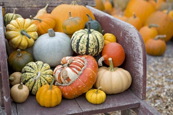 halloweenmarkt Renesse