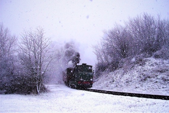 winterse kerstritten