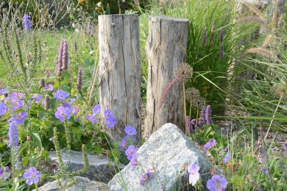 tuin pionierster