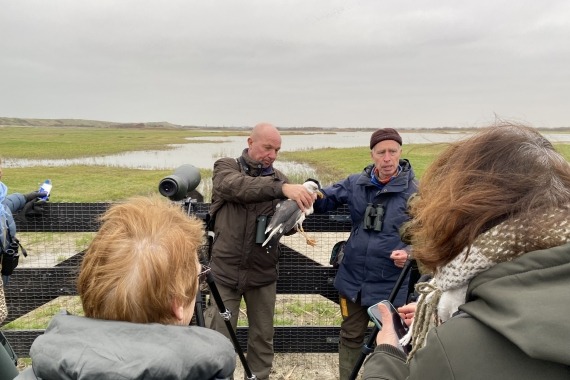 Vogelexcursie noordervroon