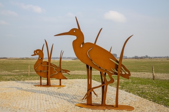 vogelroute waterdunen
