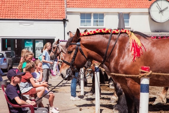 paarden en plezier in Westkapelle