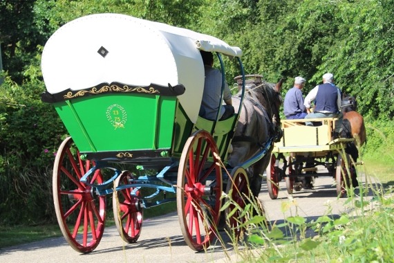 Boerenlandrit