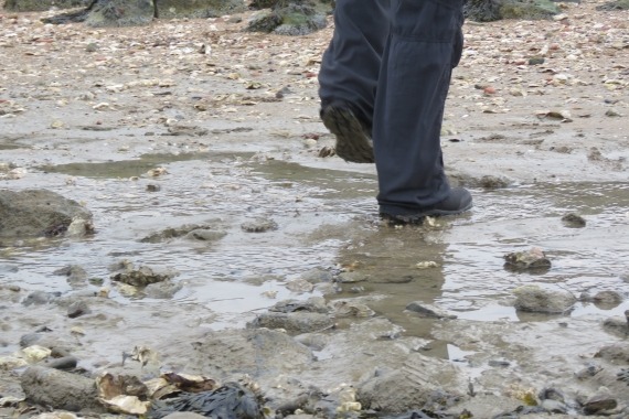 wandeltocht nieuwe natuur