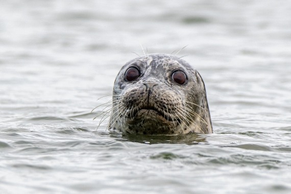 oosterscheldeweek
