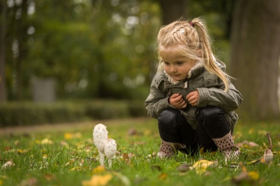 herfst in 't park