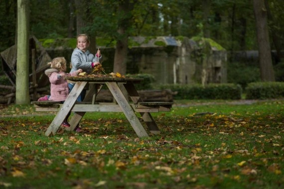 herfst in 't park