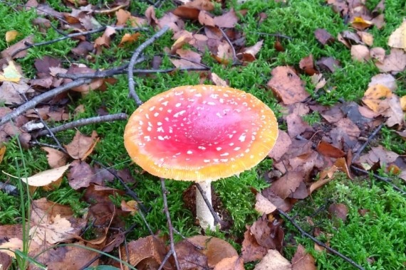 herfst bij terra maris
