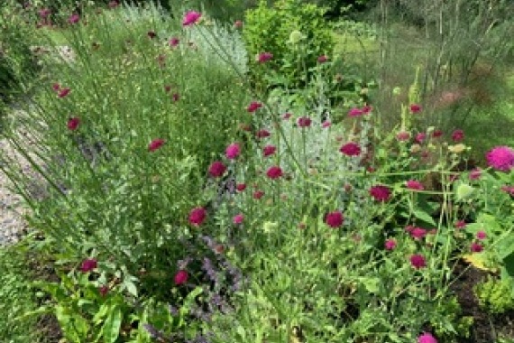 tuinieren met de natuur