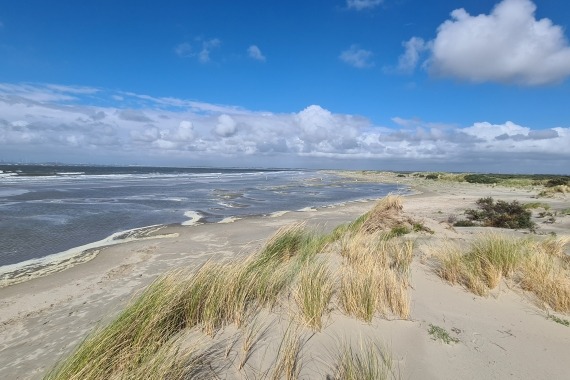 excursie