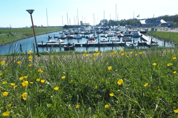 kamperlandse dag