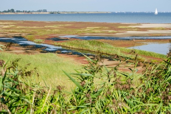 excursie grevelingen