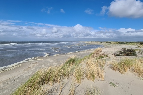 groene strand