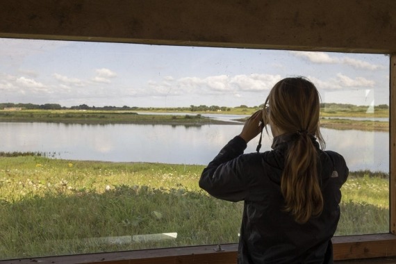 Vogelexcursie waterdunen