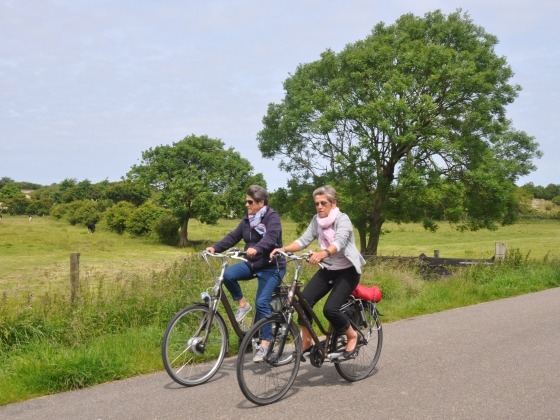 Fietsers