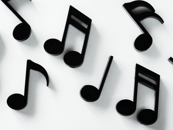 muziek