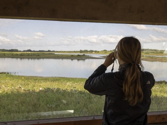 Vogelexcursie waterdunen