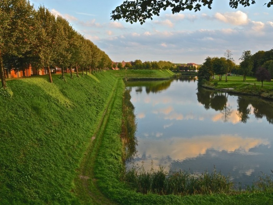 Wallen hulst 