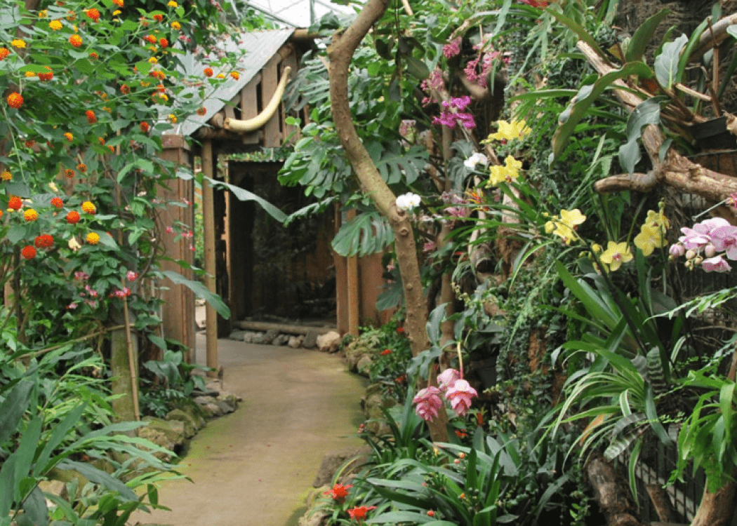berkenhof tropical zoo
