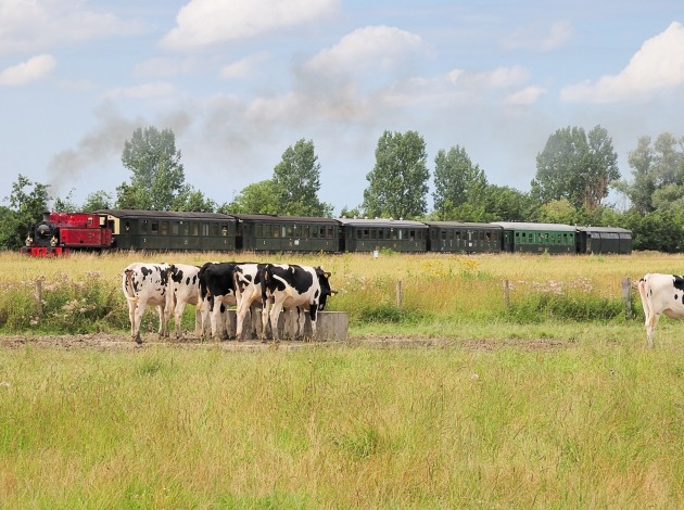 Stoomtrein goes - borsele