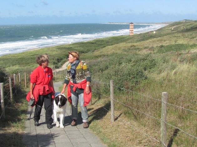 stranden van domburg